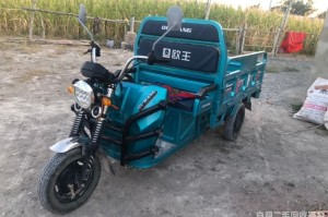 乌鲁木齐摩托车电动车回收（乌鲁木齐电动摩托车在哪里买）