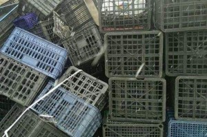 宁波废工业塑料回收（宁波回收废塑料多少钱一斤）
